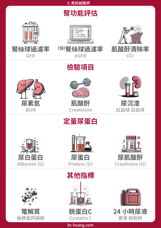renal function tests and cystatin C