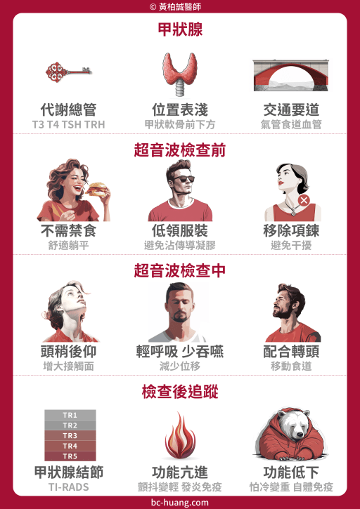 thyroid ultrasound and blood tests