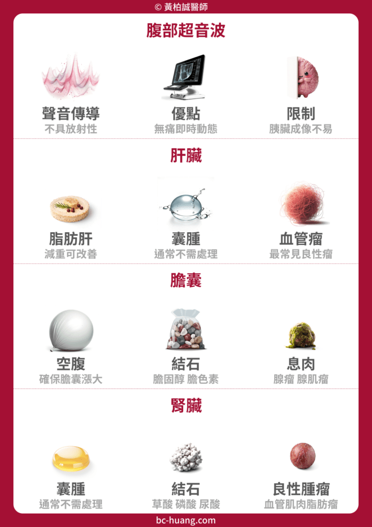腹部超音波具有安全不具侵入性等的優點，可能在肝臟發現脂肪肝、囊腫、血管瘤；可能在膽囊發現結石、息肉；腎臟則是常見囊腫、結石、血管肌肉脂肪瘤。