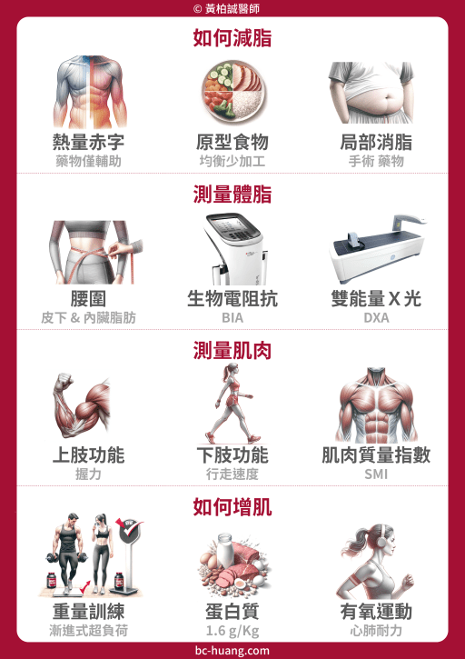 gain muscle and lose fat