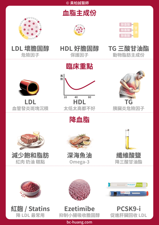 how to make lipid profiles normal