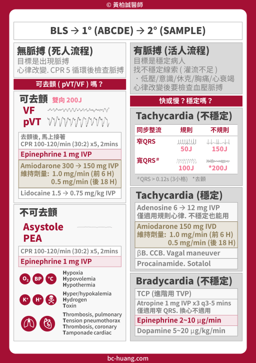 ACLS megacode 流程考題重點 - 黃柏誠醫師