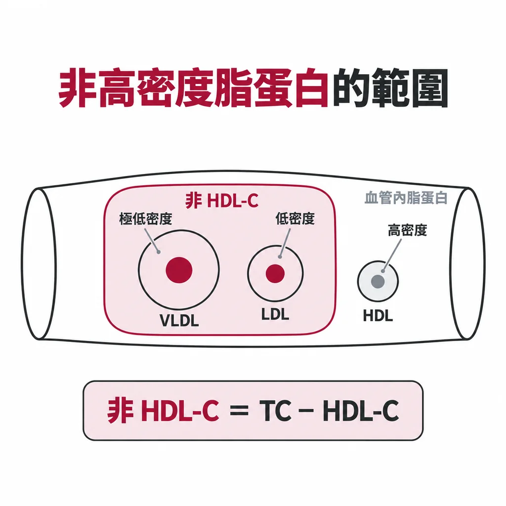 血管內的極低密度脂蛋白、低密度脂蛋白與高密度脂蛋白顆粒,非高密度脂蛋白涵蓋前兩者