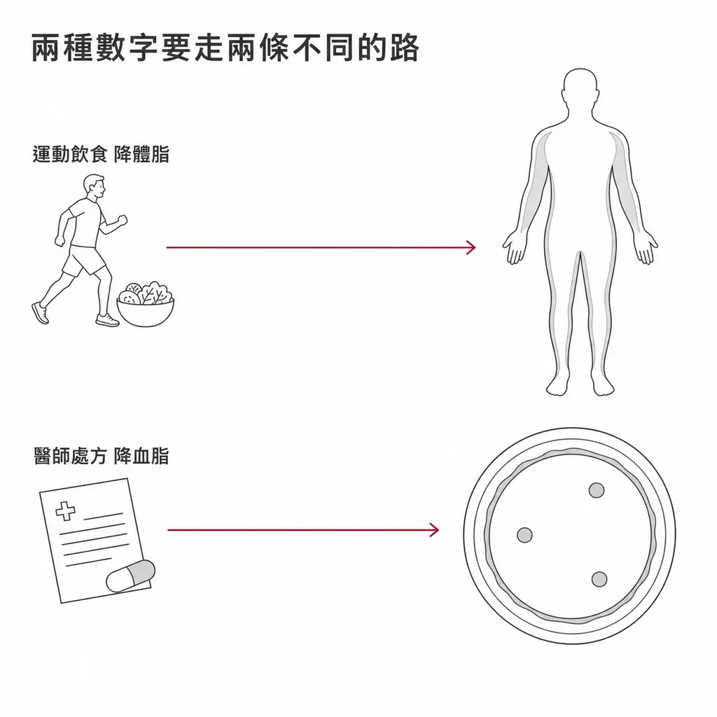 運動與飲食調整降低體脂率，醫師處方藥物降低血脂，兩條路徑不能互相取代
