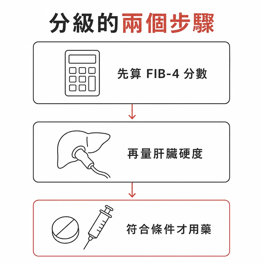 先算 FIB-4 分數，再量肝臟硬度或抽血纖維化指標，符合條件才考慮用藥