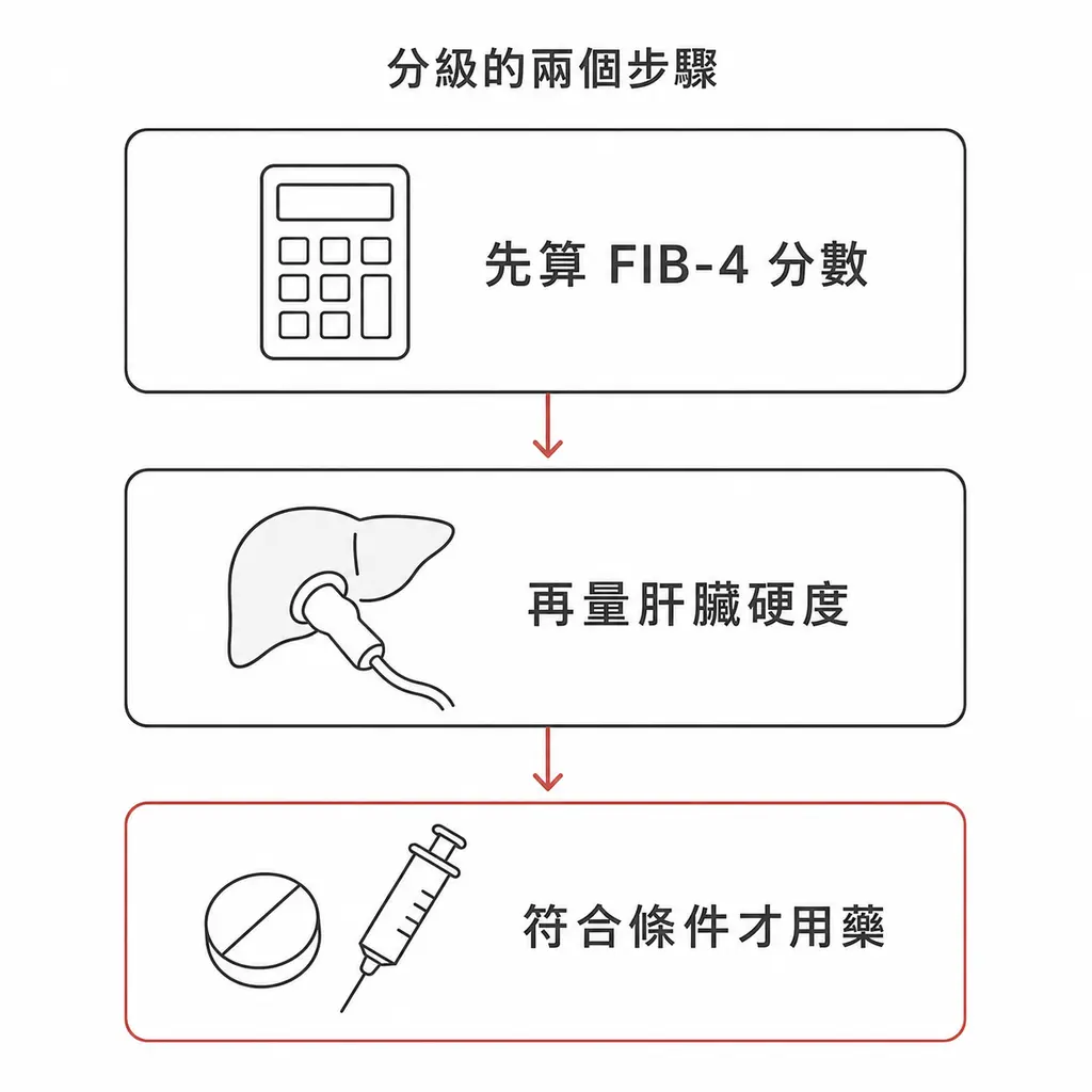 先算 FIB-4 分數,再量肝臟硬度或抽血纖維化指標,符合條件才考慮用藥