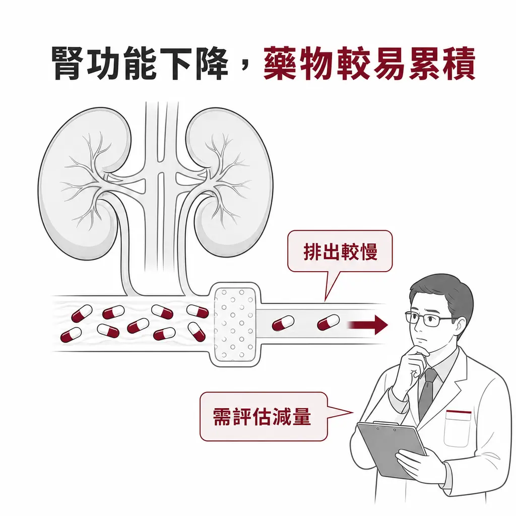 腎功能下降讓神經痛藥排出較慢並需由醫師評估減量的示意圖