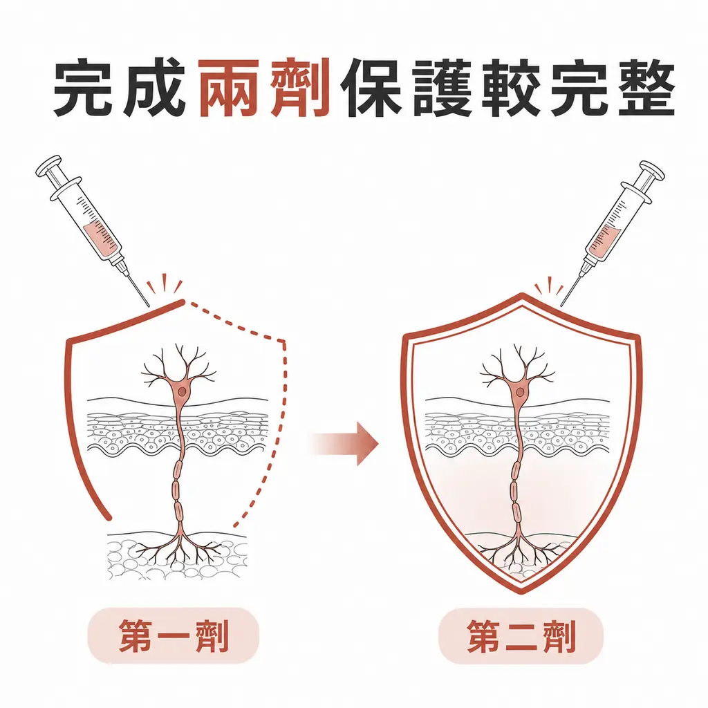 第一劑帶狀皰疹疫苗建立部分保護，完成第二劑後保護較完整