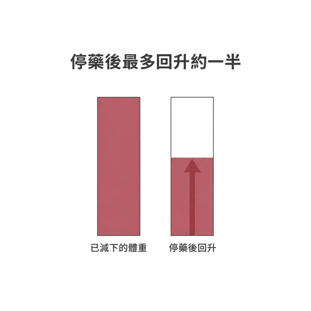 長條比較圖:已減下的體重與停藥後回升約一半的幅度對照