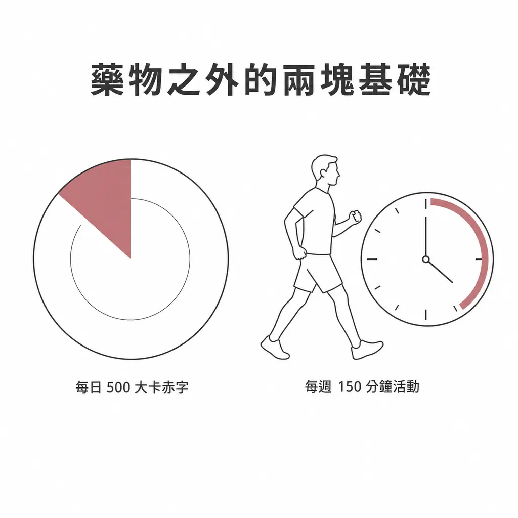 兩個圖示:每日約 500 大卡熱量赤字,以及每週至少 150 分鐘身體活動