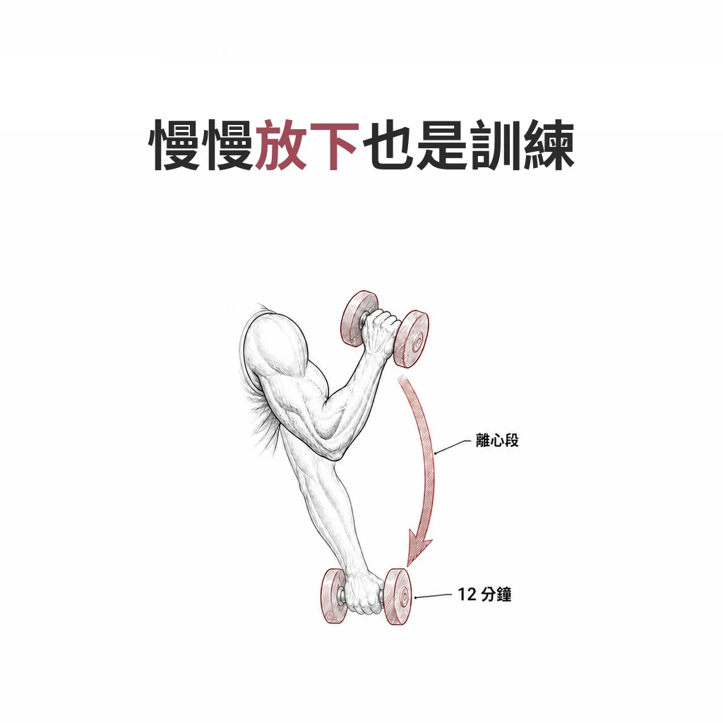 線稿圖:手臂持啞鈴由上往下放的兩個位置,一條弧形箭頭標示離心段,並標示 12 分鐘