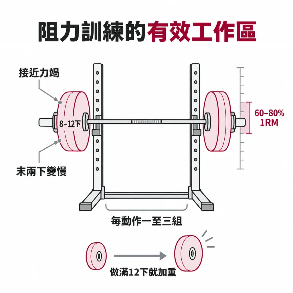 線稿圖：架上的槓鈴與槓片，旁邊縱向刻度標示 60–80% 工作區間，槓片標示 8–12 下
