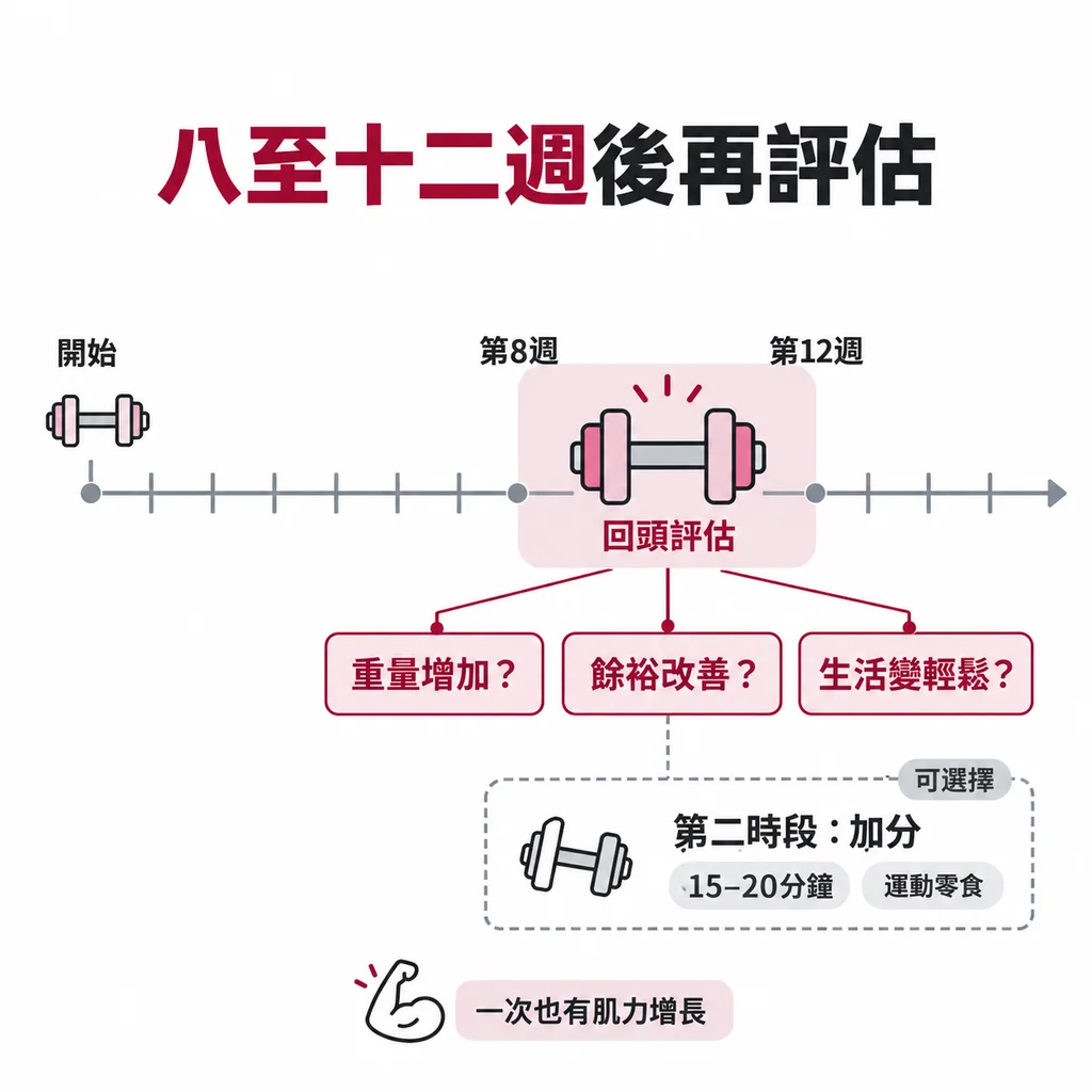 線稿圖：以週為刻度的時間軸，第八到十二週以淡色標示，該處的啞鈴明顯比起點大