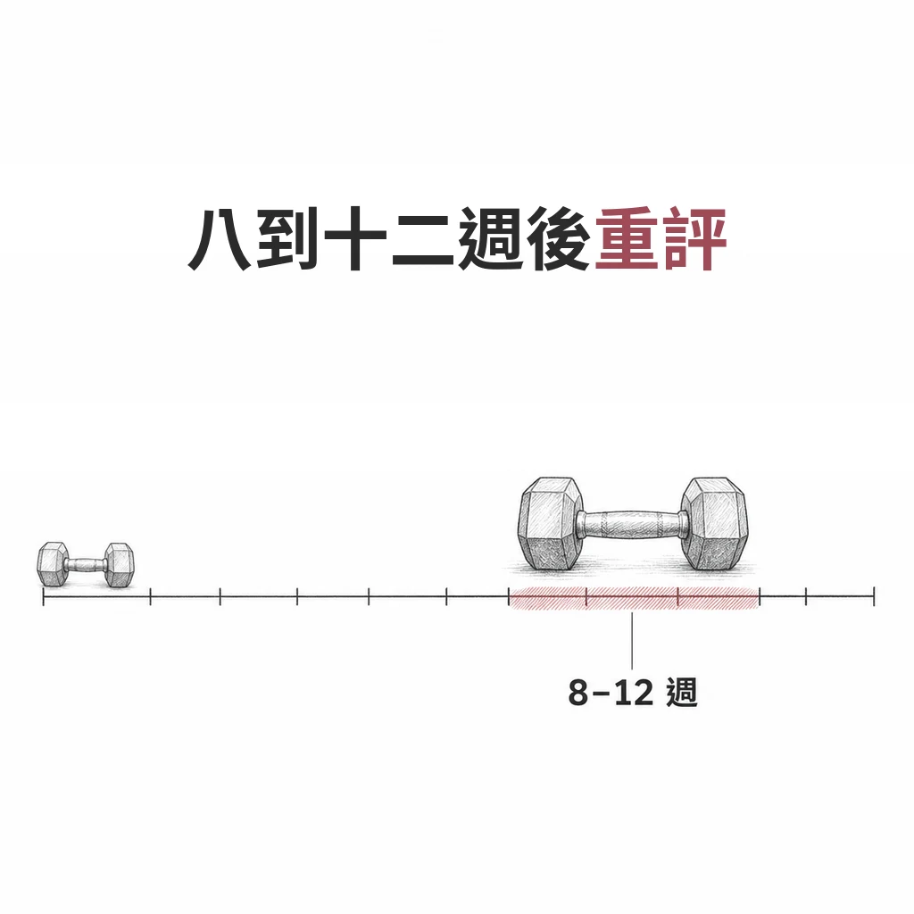 線稿圖:以週為刻度的時間軸,第八到十二週以淡色標示,該處的啞鈴明顯比起點大