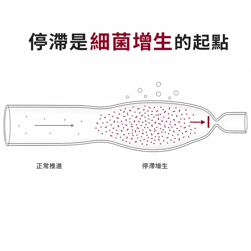 示意圖：小腸左側正常推進、細菌稀少，右側因狹窄使內容物停滯在擴張段，該處細菌大量增生並產生氣體