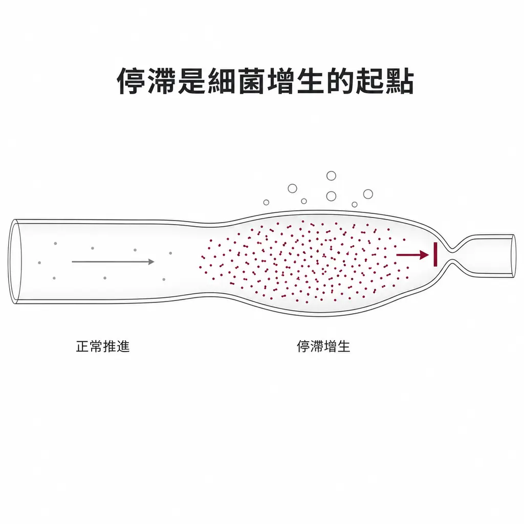 示意圖:小腸左側正常推進、細菌稀少,右側因狹窄使內容物停滯在擴張段,該處細菌大量增生並產生氣體