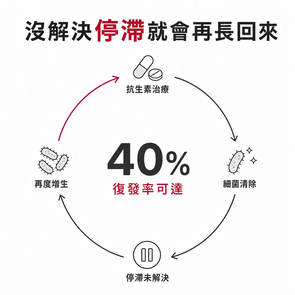 循環示意圖：抗生素治療、細菌清除、停滯未解決、再度增生形成閉環，復發率可達 40%