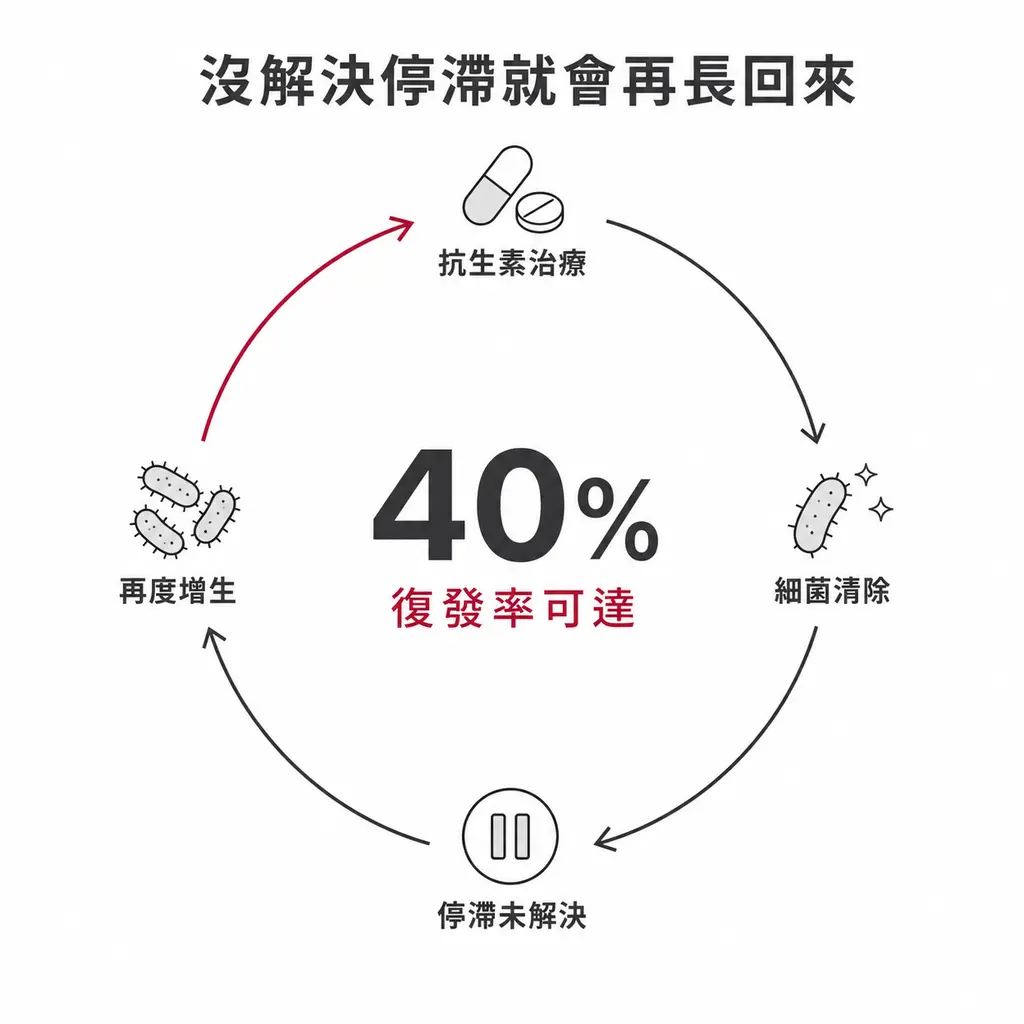 循環示意圖:抗生素治療、細菌清除、停滯未解決、再度增生形成閉環,復發率可達 40%