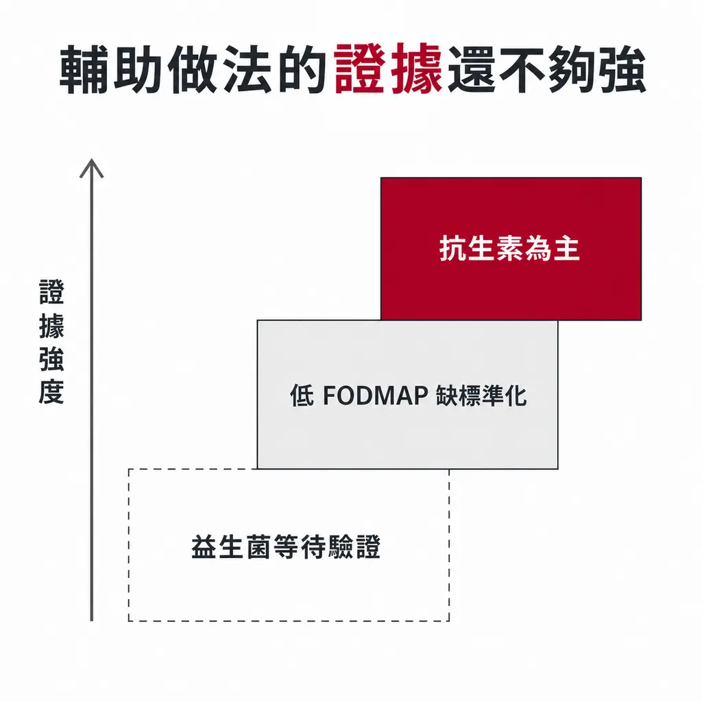 階梯示意圖：抗生素治療的證據強度最高，低 FODMAP 飲食缺乏標準化證據居中，益生菌等新興做法仍待驗證