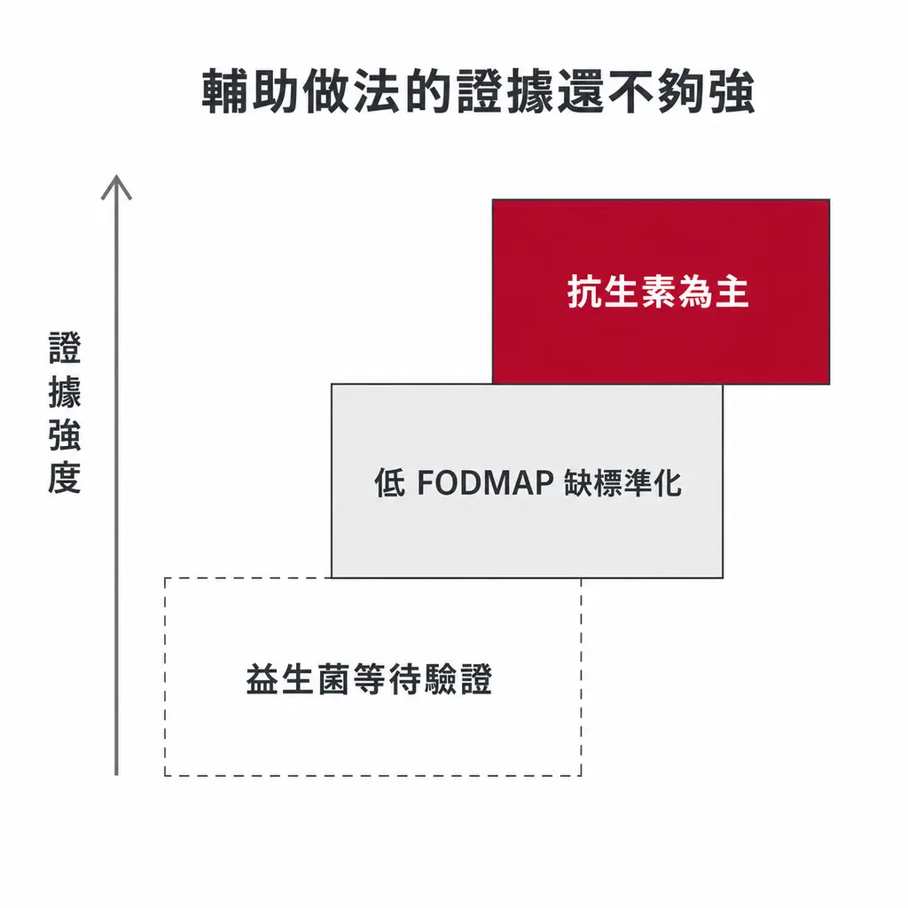 階梯示意圖:抗生素治療的證據強度最高,低 FODMAP 飲食缺乏標準化證據居中,益生菌等新興做法仍待驗證