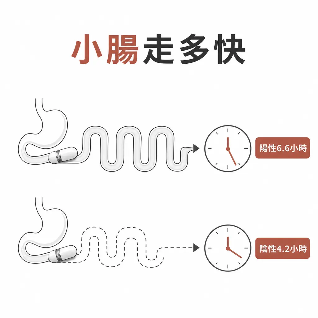 研究中呼氣陽性者的小腸平均通過時間較長