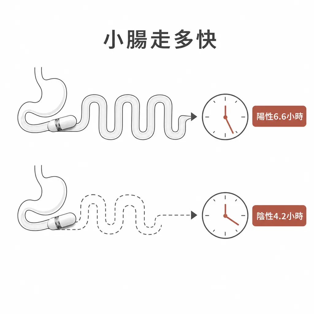 研究中呼氣陽性者的小腸平均通過時間較長