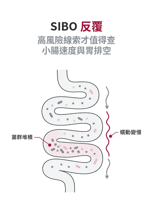 SIBO 反覆發作與腸道蠕動檢查重點圖