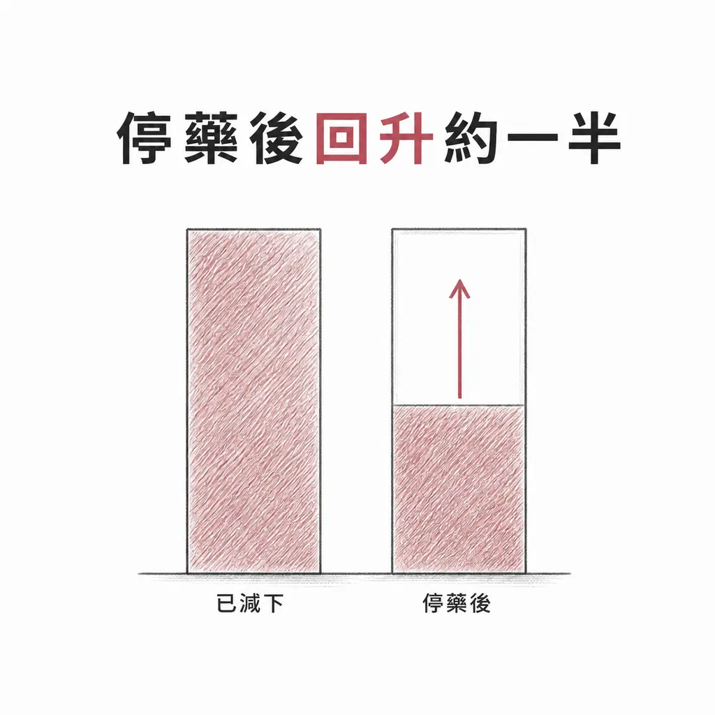 長條比較圖：已減下的體重與停藥後回升約一半的幅度對照