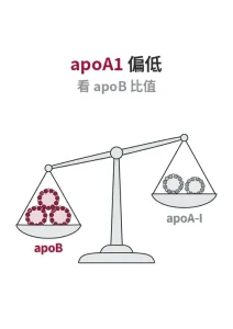 天平左盤為 apoB 顆粒、右盤為 apoA-I 顆粒，說明 apoB/apoA-I 比值同時涵蓋致動脈硬化與保護兩側
