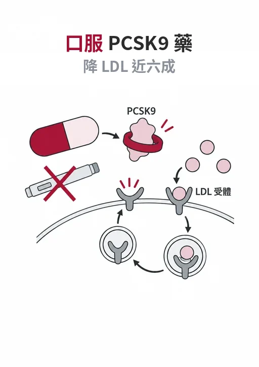 口服 PCSK9 抑制劑 enlicitide：一天一顆降 LDL 近六成，能否減少心臟病仍在等結果