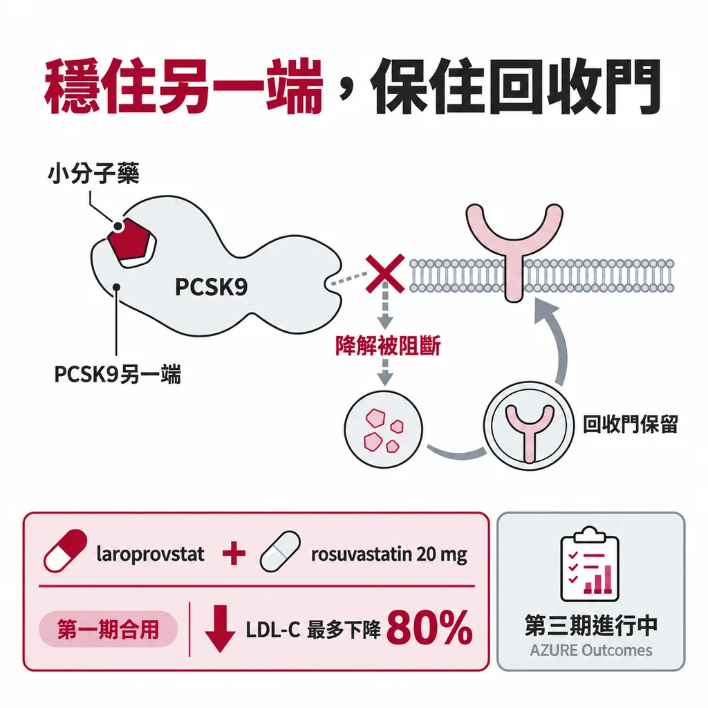 laroprovstat 穩住 PCSK9 另一端;第一期試驗和 rosuvastatin 20 mg 合用,LDL-C 總降幅最多 80%;第三期試驗進行中