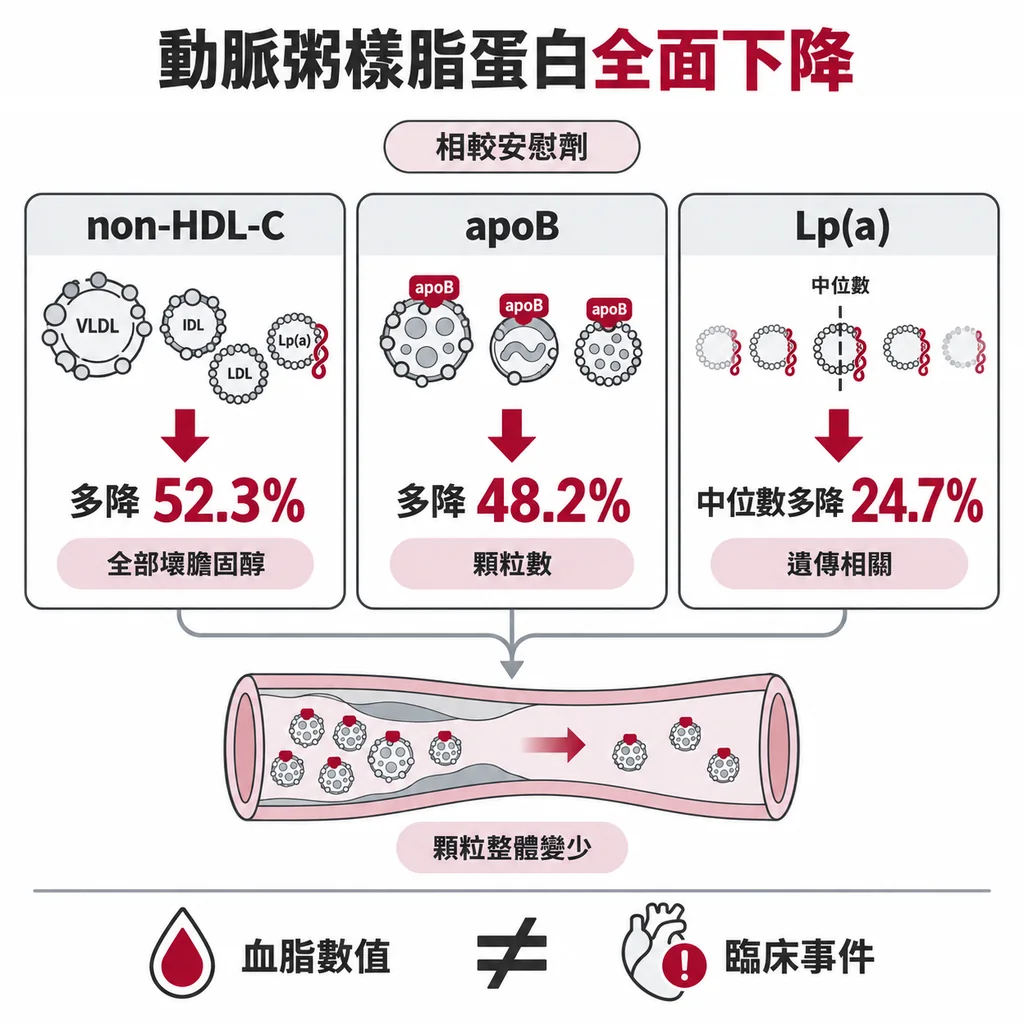 和安慰劑相比:non-HDL-C 多降 52.3%、apoB 多降 48.2%、Lp(a) 中位數多降 24.7%