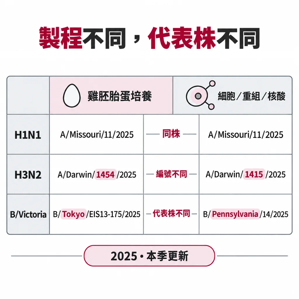 雞胚胎蛋培養與細胞、重組蛋白質或核酸疫苗各有代表株：H1N1 兩邊都是 Missouri，H3N2 同叫 Darwin 但編號不同，B 型分為 Tokyo 與 Pennsylvania
