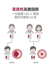 家族性高膽固醇血症分兩型：HeFH 與 HoFH 差在遺傳份數，壞膽固醇可差到 10 倍