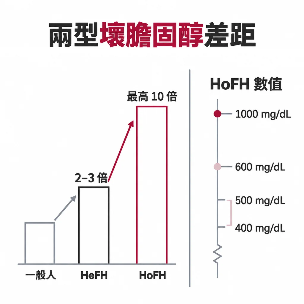 HeFH 的 LDL-C 約為一般人的 2 到 3 倍；HoFH 最高約 10 倍，常在 400 到 500 mg/dL 以上，有時超過 600、可達 1000 mg/dL