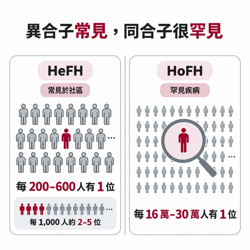 HeFH 約每 200 到 600 人有 1 位；HoFH 約每 16 萬到 30 萬人才有 1 位，屬於罕見疾病