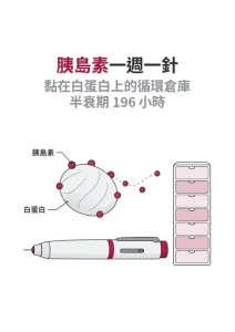 一週打一針的胰島素 icodec，為什麼撐得了七天？藥躲在血液的白蛋白上，每天只放出一小部分