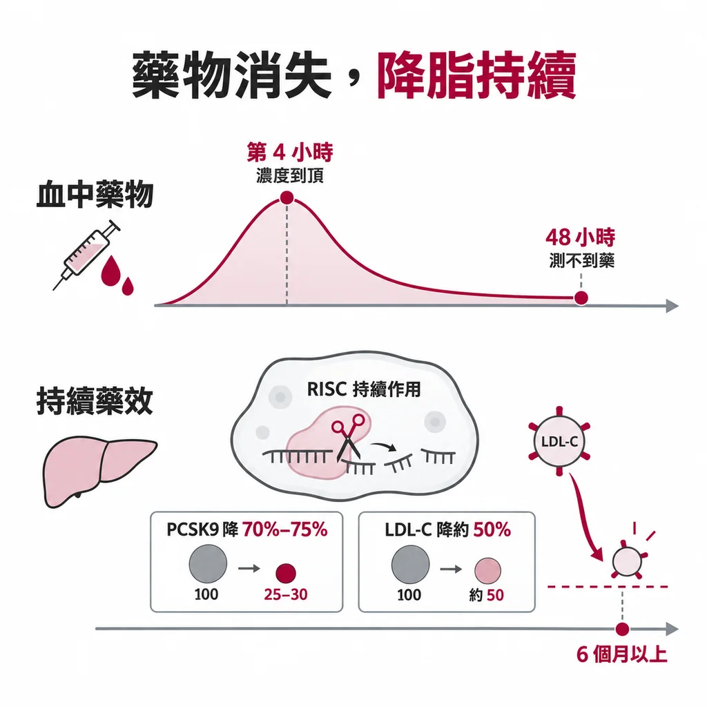 兩條時間線對照：第 4 小時血中濃度到頂、48 小時測不到藥，但 PCSK9 降 70% 到 75%、LDL-C 降約 50%，效果撐 6 個月以上