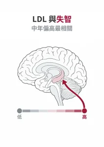 LDL 膽固醇高或低與失智：中年 LDL 偏高，十年以上後失智風險較高