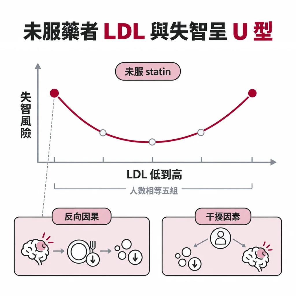 沒吃 statin 的人,LDL 最低與最高兩組失智風險都較高,曲線呈 U 字