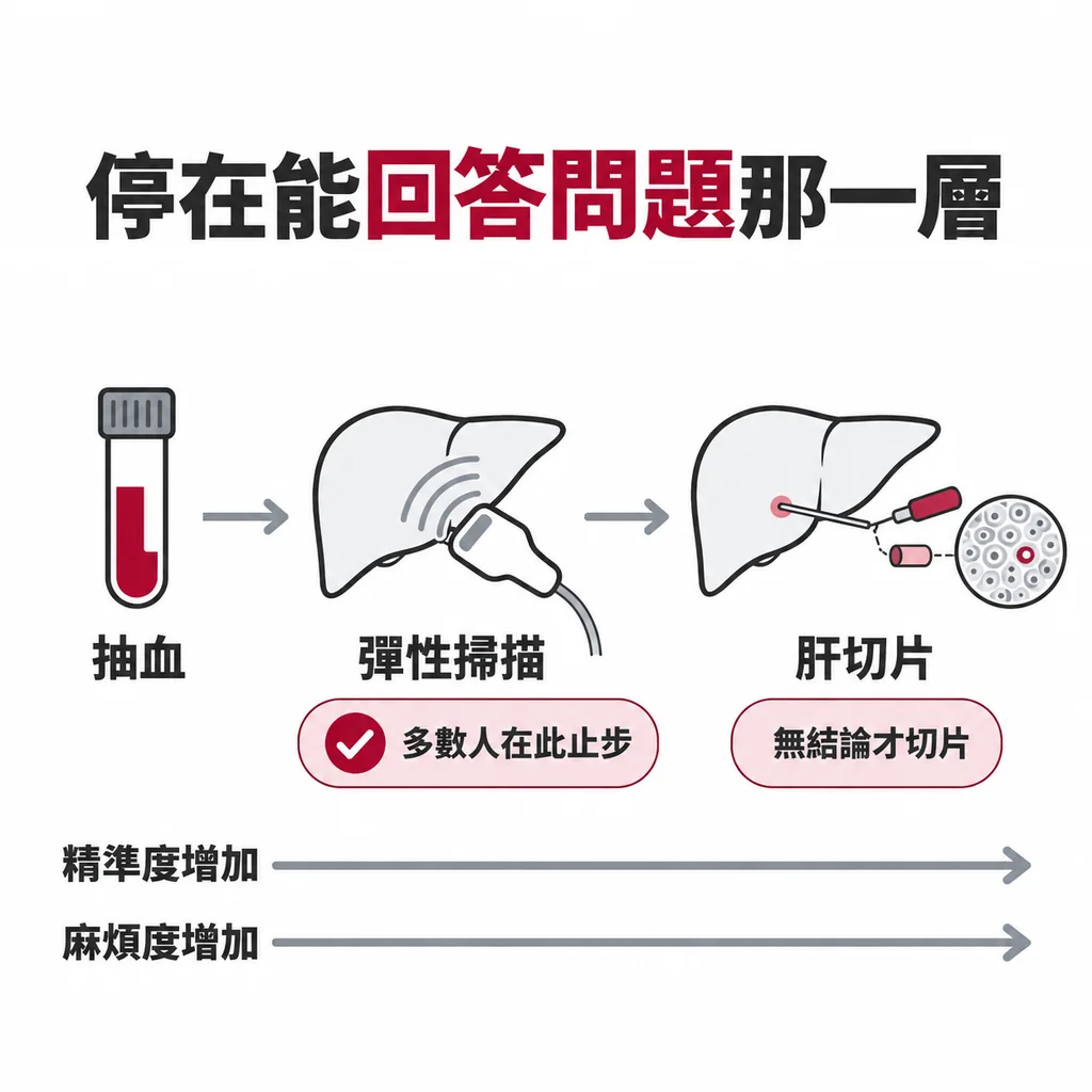 從第一層抽血到第三層肝切片，每往下一步都更精準也更麻煩，停在能回答問題的那一層就是最好的安排