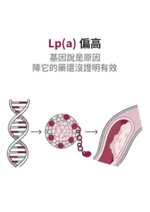 Lp(a) 是心血管疾病的原因嗎：LPA 基因決定的 Lp(a) 顆粒卡在動脈斑塊裡