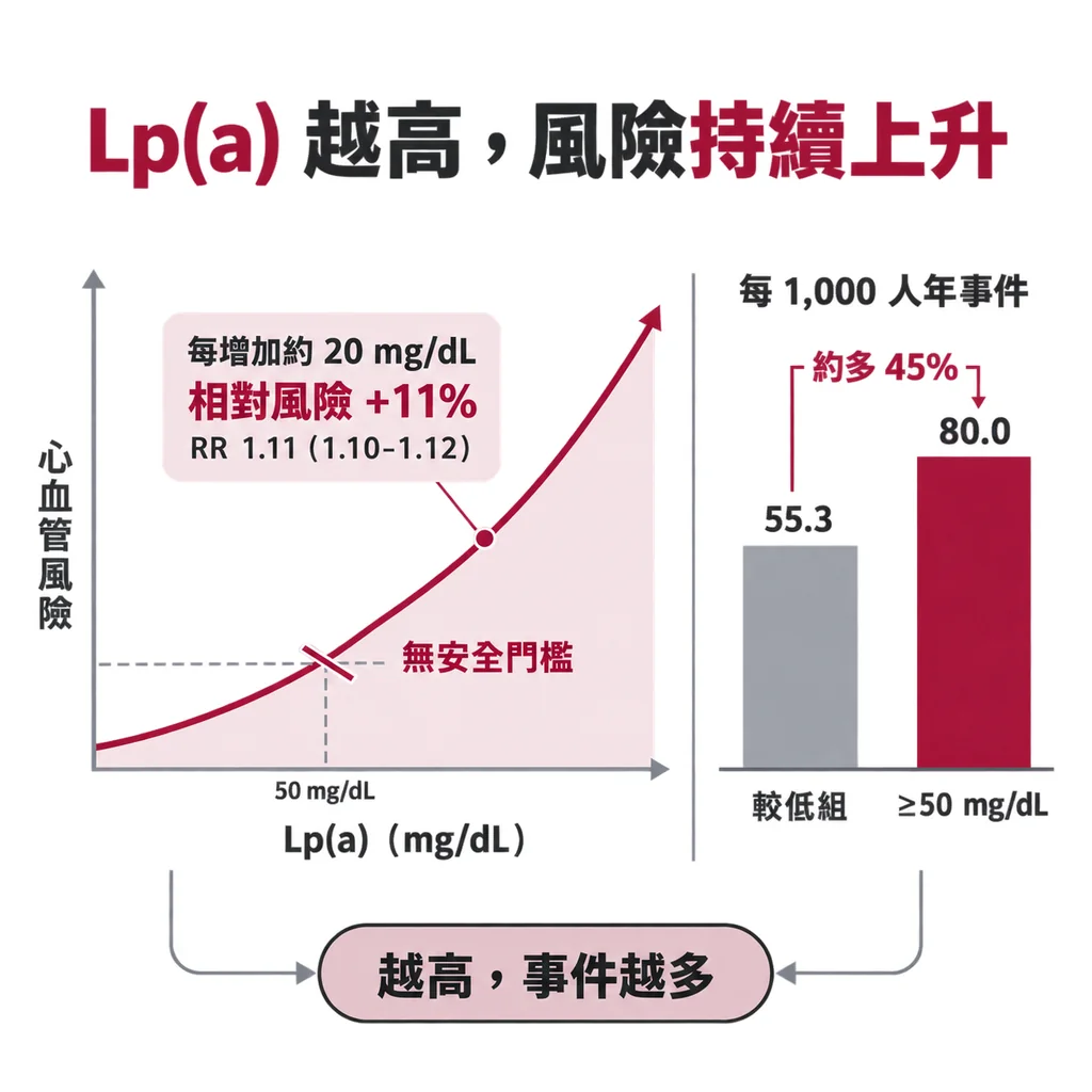 Lp(a) 越高風險一路往上爬，中間沒有一條低於它就安全的門檻