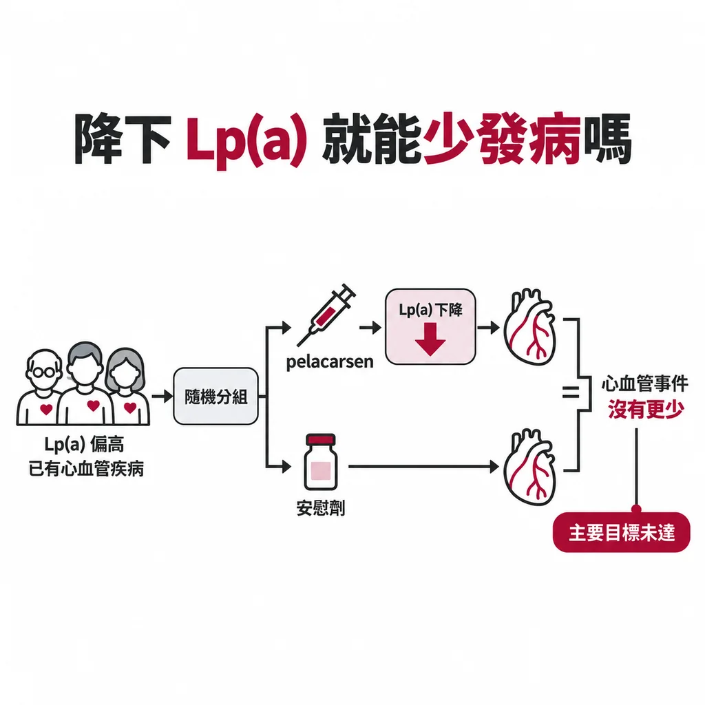證明 Lp(a) 會造成疾病之後，最後一塊拼圖是藥物試驗：把 Lp(a) 降下來，心肌梗塞會不會變少