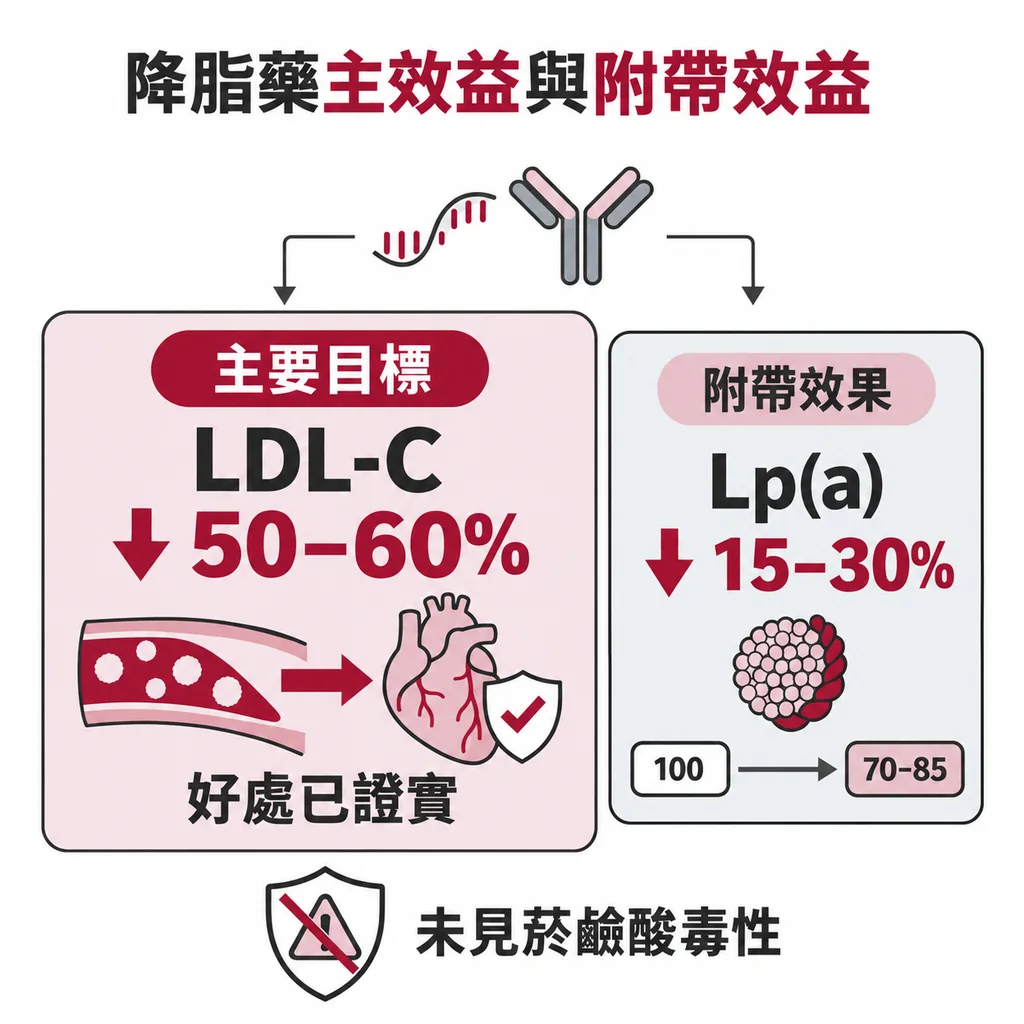 inclisiran／PCSK9 抑制劑降 LDL-C 50–60% 且好處已證實，Lp(a) 順帶降 15–30%、無 niacin 的毒性訊號