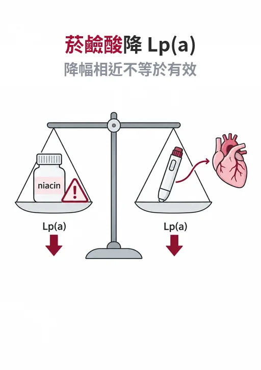 Lp(a) 偏高能用菸鹼酸取代 inclisiran 嗎？降幅相近，但 niacin 已證實無益有害