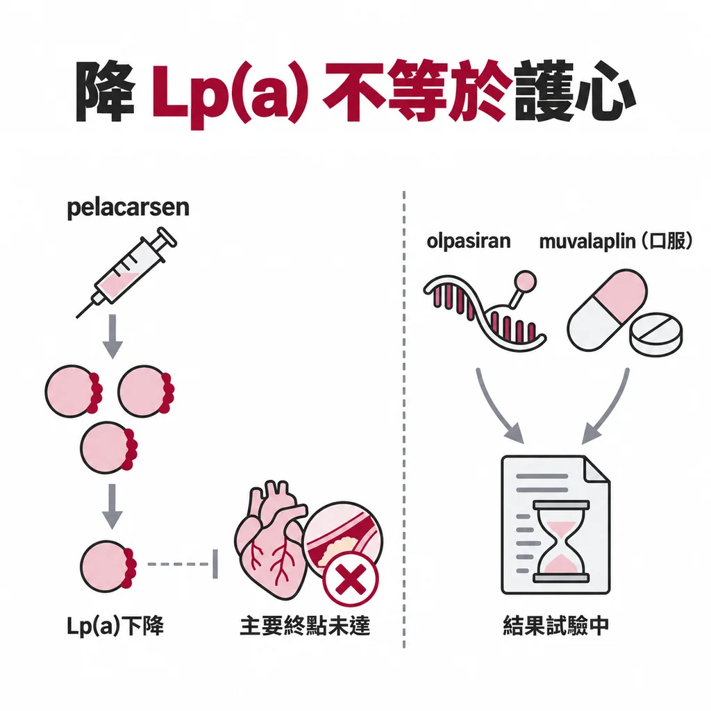 專門降 Lp(a) 的新藥：pelacarsen HORIZON 主要終點未達成，olpasiran、muvalaplin 仍在做結果試驗