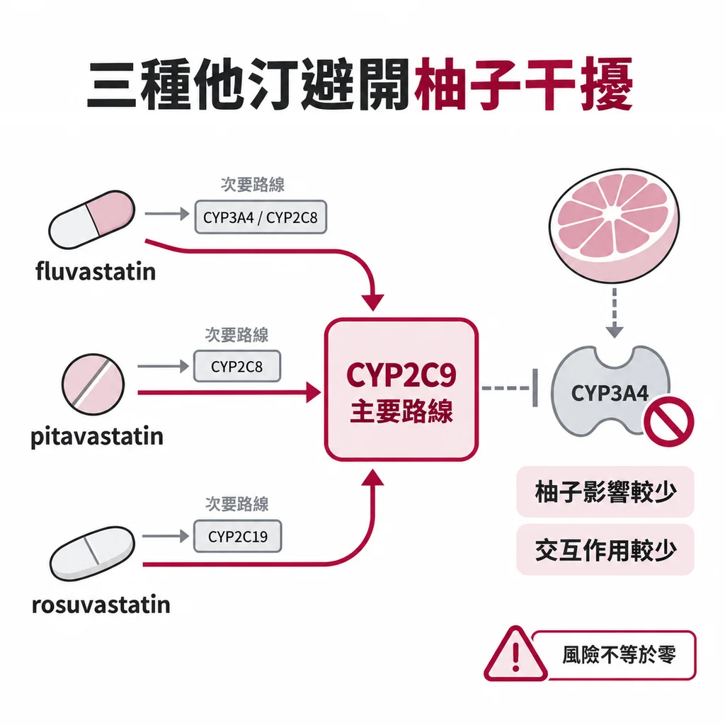 fluvastatin、pitavastatin、rosuvastatin 主要走 CYP2C9 這條代謝路，只有一小段次要路線經過其他酵素，因此較不受柚子影響