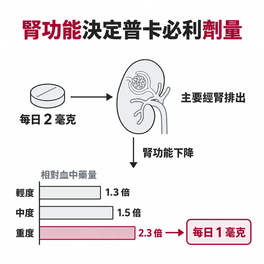 普卡必利主要從腎臟排出,輕度、中度、重度腎功能不全的血中藥量分別是正常的 1.3、1.5、2.3 倍,所以重度要從每天 2 毫克減為 1 毫克