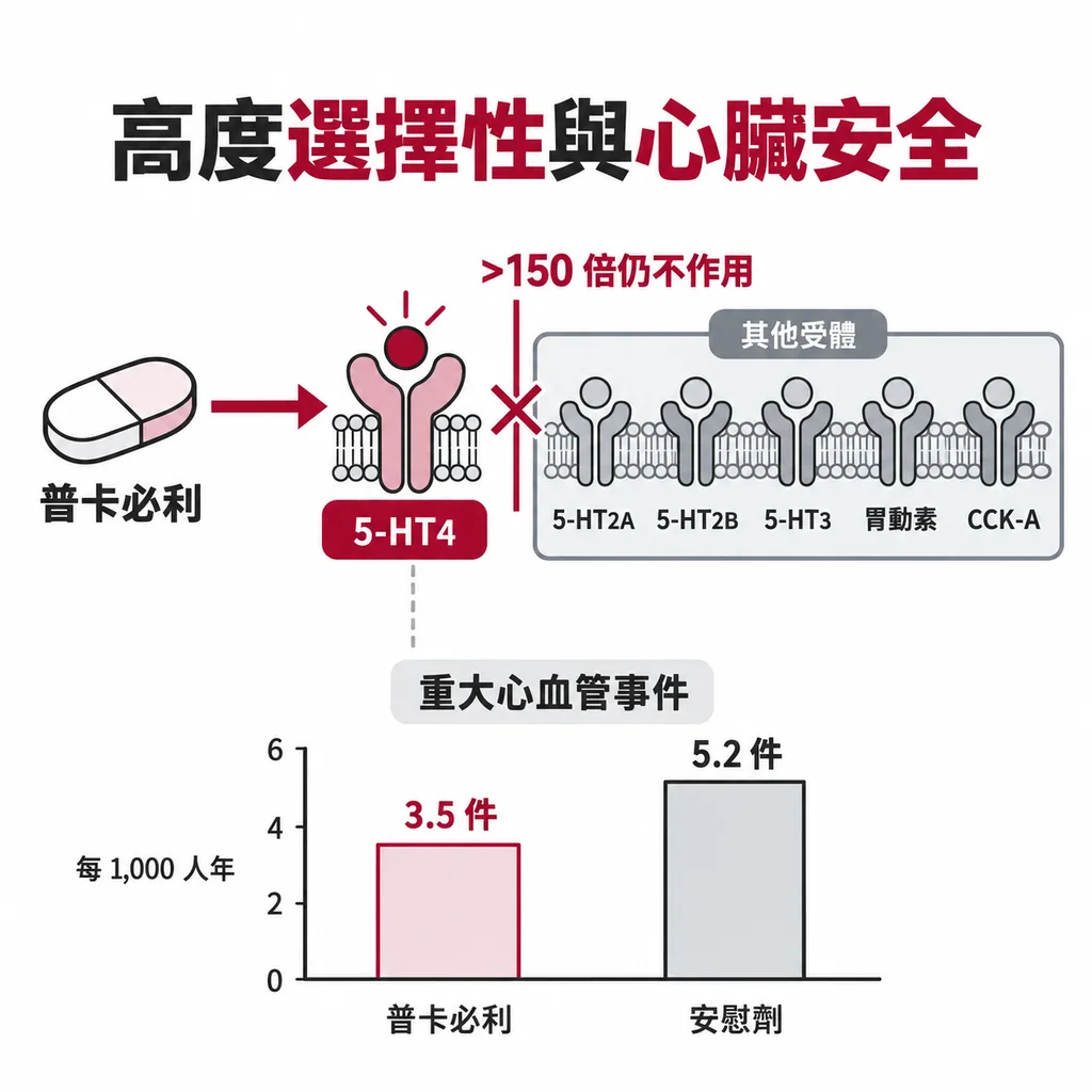 普卡必利只按 5-HT4 一個開關,藥量到 150 倍以上仍不碰其他受體;重大心血管事件每 1,000 人年 3.5 件,安慰劑組 5.2 件
